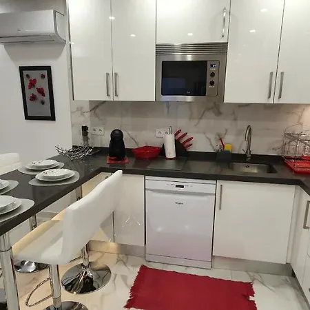 T1 Da Rocha Sunflower * بورتيماو